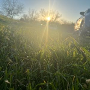 Meet your Posher, Devin